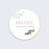 Sticker Naissance Petit Aviateur