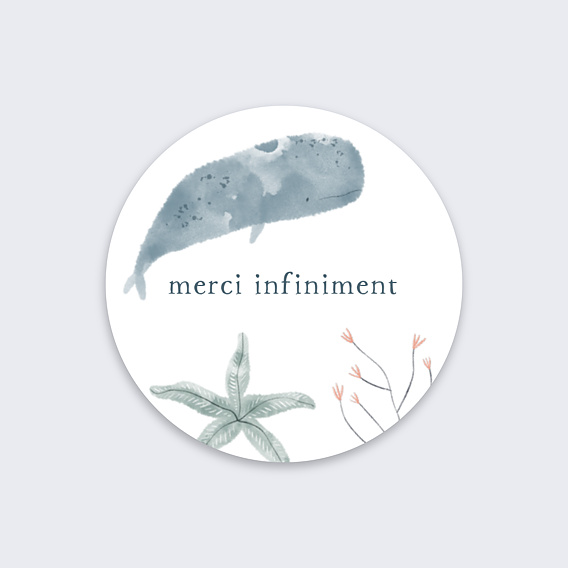 Sticker naissance Petite Baleine Recto
