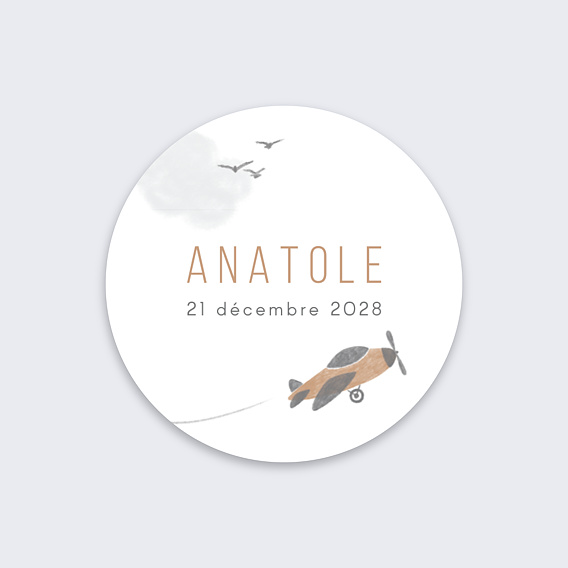 Sticker naissance Petit Aviateur Recto