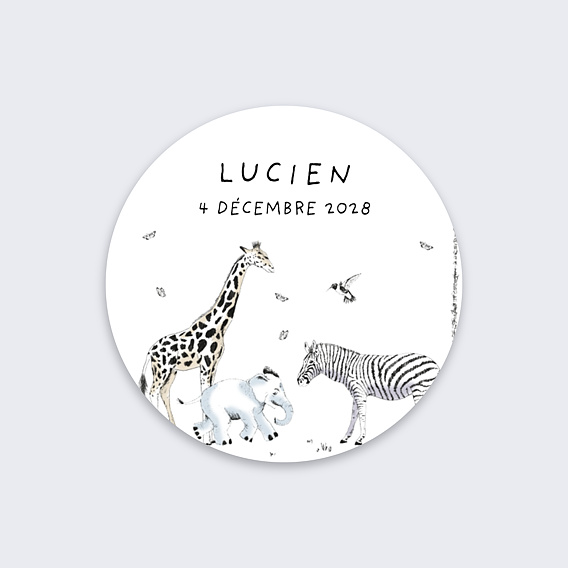 Sticker naissance Animaux Sauvages Recto