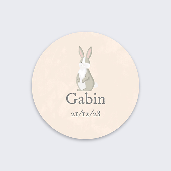 Sticker Naissance Petit Lapin