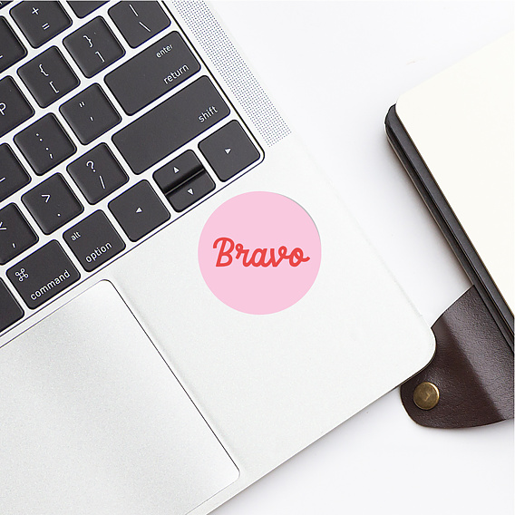 Sticker professionnel Bravo Bicolore Après 4