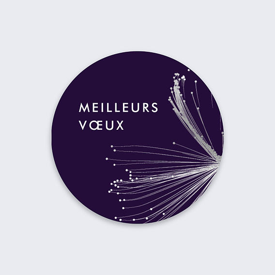 Stickers vœux entreprise Organique Recto