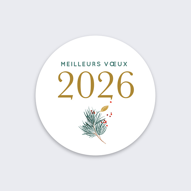 Stickers Voeux Personnalisable Sylvestre Recto