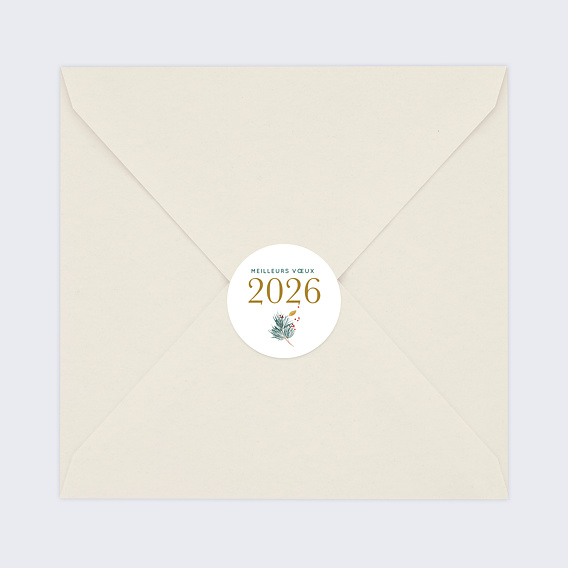 Stickers vœux Sylvestre Après 4