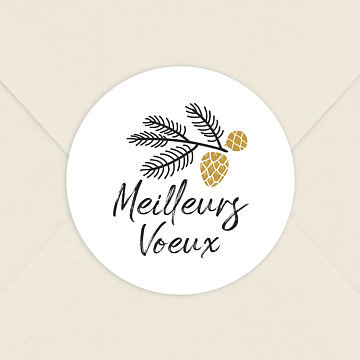 Stickers Voeux  Nos Meilleurs Vux
